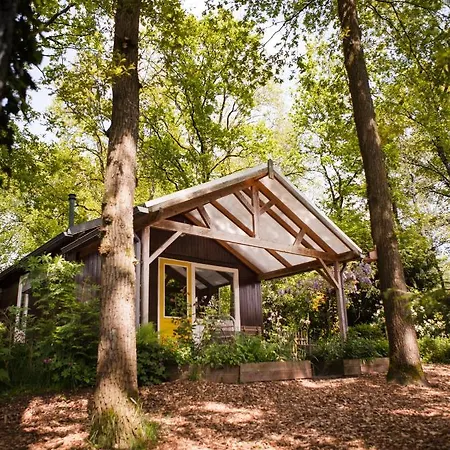 Vakantiehuis Knus Boshuisje Onder De Eiken *