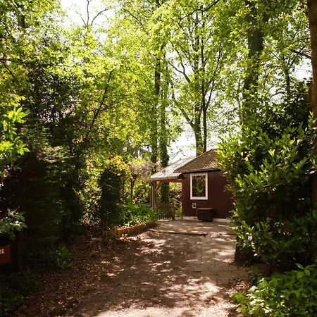 Vakantiehuis Knus Boshuisje Onder De Eiken Ermelo