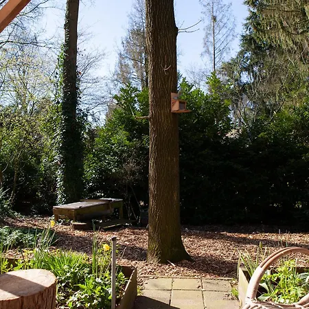 Knus Boshuisje Onder De Eiken Vakantiehuis